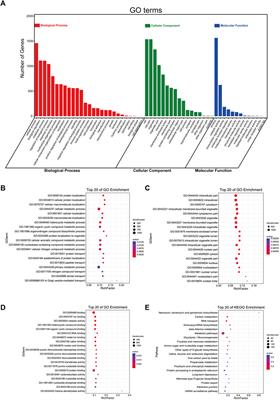 5-Methylcytosine RNA Methyltransferases-Related Long Non-coding RNA to Develop and Validate Biochemical Recurrence Signature in Prostate Cancer